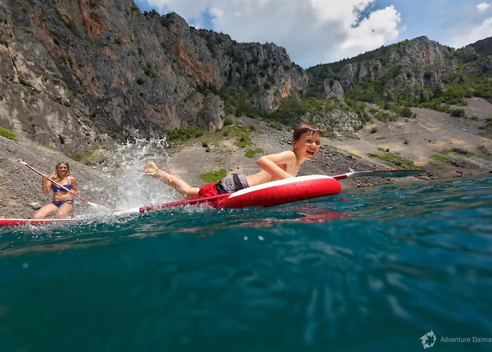 Noel * Donji Prolozac